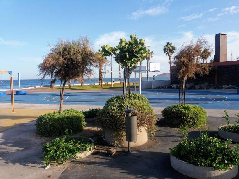 Sunny Apartment Near Las Canteras Beach ラスパルマス・デ・グランカナリア エクステリア 写真